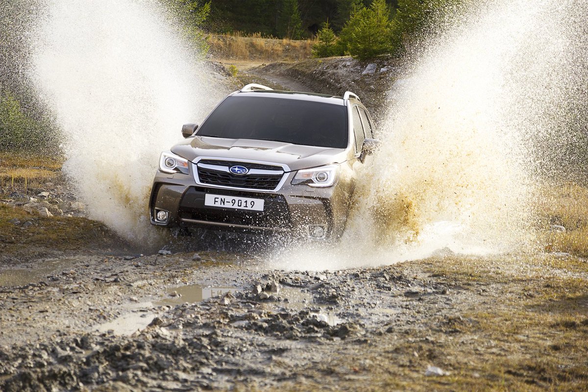 KilometrosArg's tweet photo. Indumotora Argentina lanzó la #Subaru #Forester2016, con diseño renovado y mayor tecnología. https://t.co/TGxsFaKY0R https://t.co/35A19wj1e8