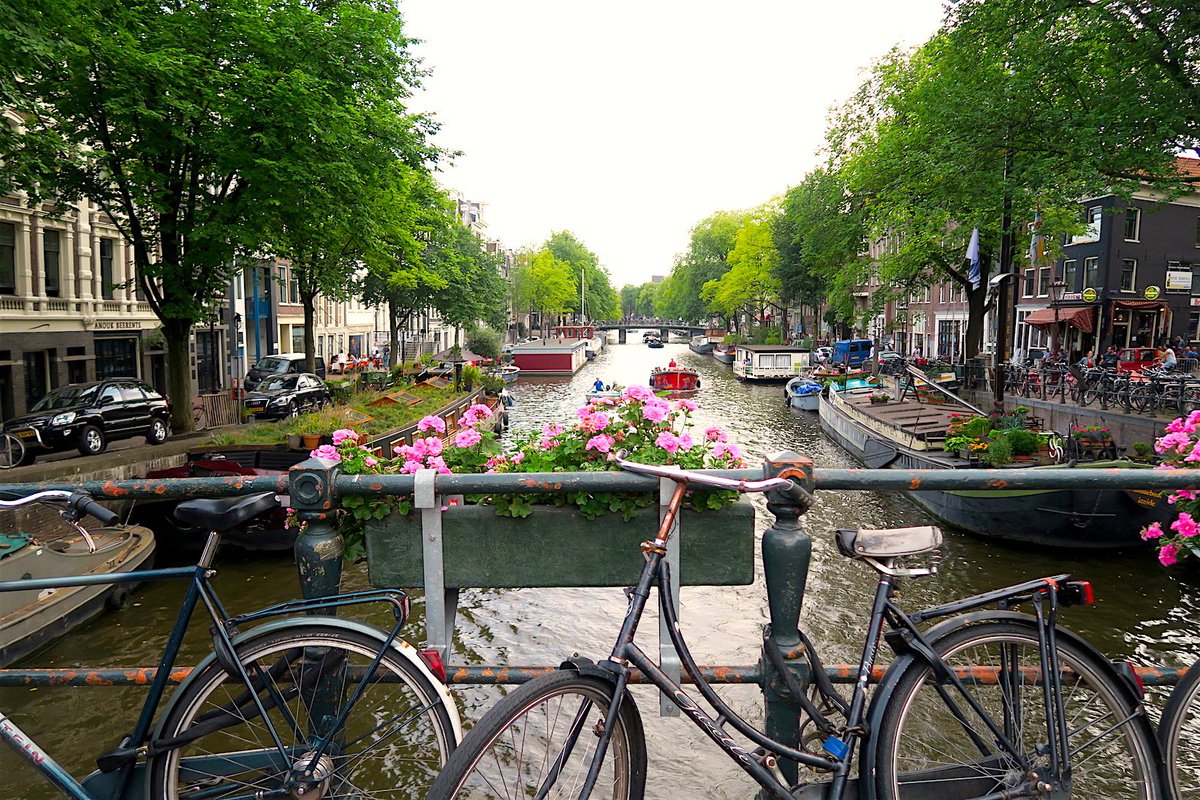 nilatanzil's tweet photo. Top 10 things to do in Amsterdam! https://t.co/qOKydyXWu2 #BlogNila #travel #ttot https://t.co/sYJ6vxTMSO