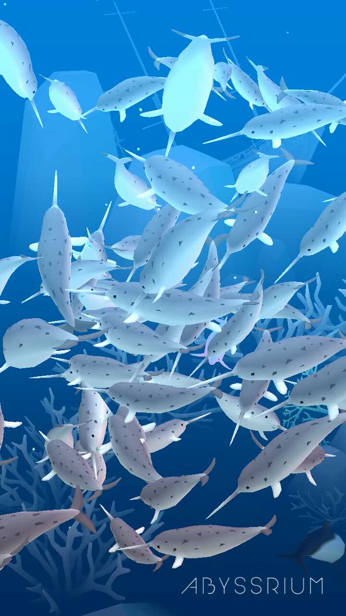 Skeeaboo's tweet photo. @WeTheNarwhals don't worry I have plenty, I had to get some sunfish! https://t.co/qRUJs0rTDC