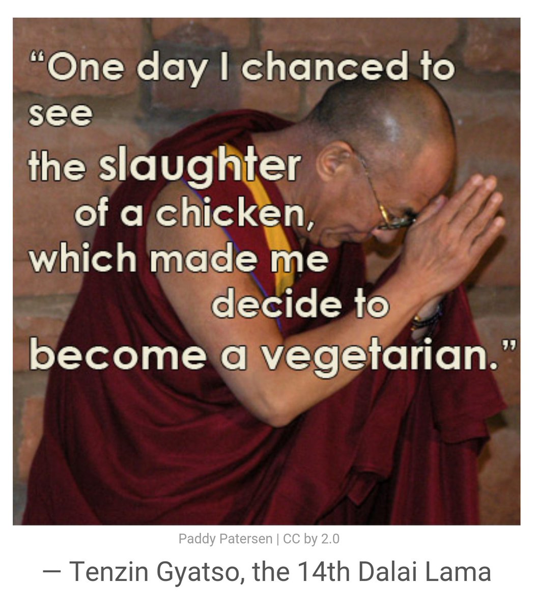 BlizzyWoofs's tweet photo. #GoVegan #GoVegetarian #FriendsNotFood #AnimalsMatter #LeaveMeatOffPlate https://t.co/hkwKqyF0RV