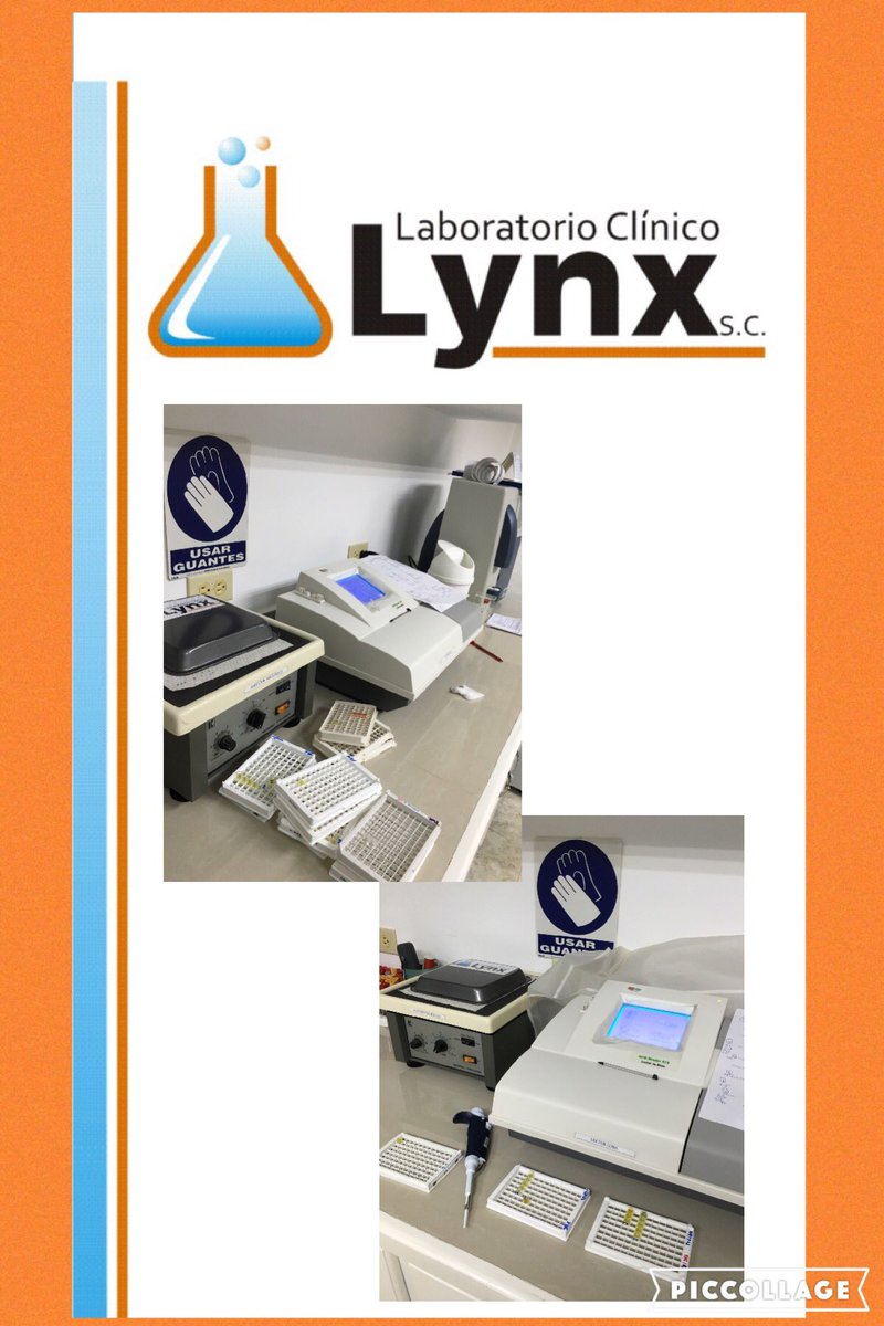 LABORATORIOLYNX's tweet photo. Un día normal de trabajo! #mejoresprofesionales #lablynx #labvalencia #especialeselisa #esunplacerestarasusservicios https://t.co/YLgU0syZnl
