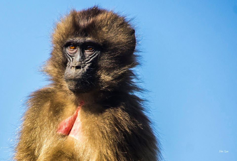 UnconConv's tweet image. Following our medical conference in East Africa, we travelled up to Ethiopia for 7 day tour. uncon-conv.com