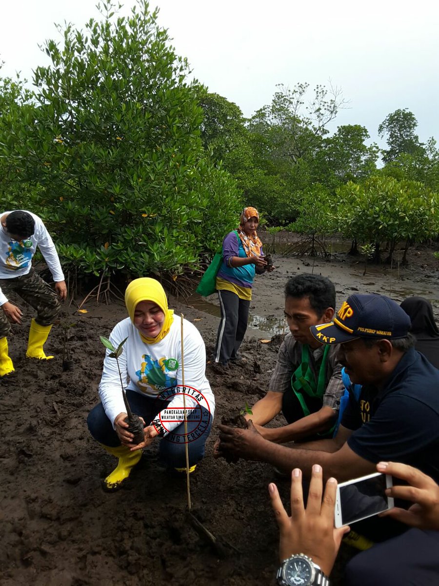 LanPSDKPBitung's tweet photo. Peduli thd kebrlnjtan SD Kel &amp; Perikanan brsm Ibu Wakil Bup. Wakatobi menanam mangrove. #kerjanyata  #lan2update https://t.co/8MqoodKRoN