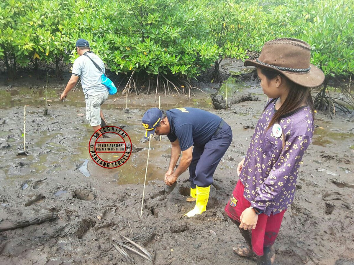LanPSDKPBitung's tweet photo. Peduli thd kebrlnjtan SD Kel &amp; Perikanan brsm Ibu Wakil Bup. Wakatobi menanam mangrove. #kerjanyata  #lan2update https://t.co/8MqoodKRoN