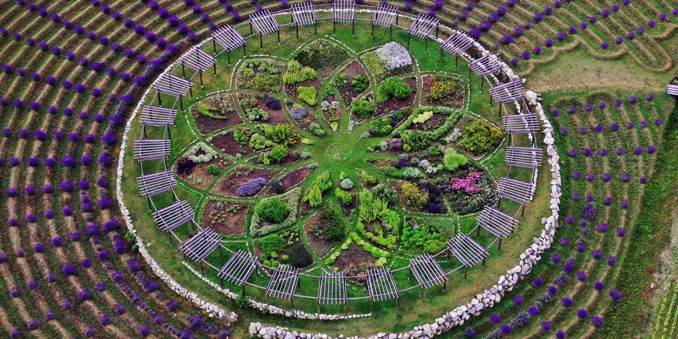 Agrosentidos10's tweet photo. Fascinante laberinto de #Lavanda, un #marketing de la granja-mercado de #CherryPointFarm by @heathernfinn #flores https://t.co/jte6YnSoac