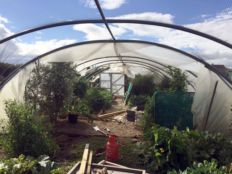 NatPolytunnels's tweet photo. #polytunnel #resheet Build courtesy of I C Polytunnels #LumisolDiffused @BPI_visqueen @NatStructures @park_sampford https://t.co/SxG1XcZyph