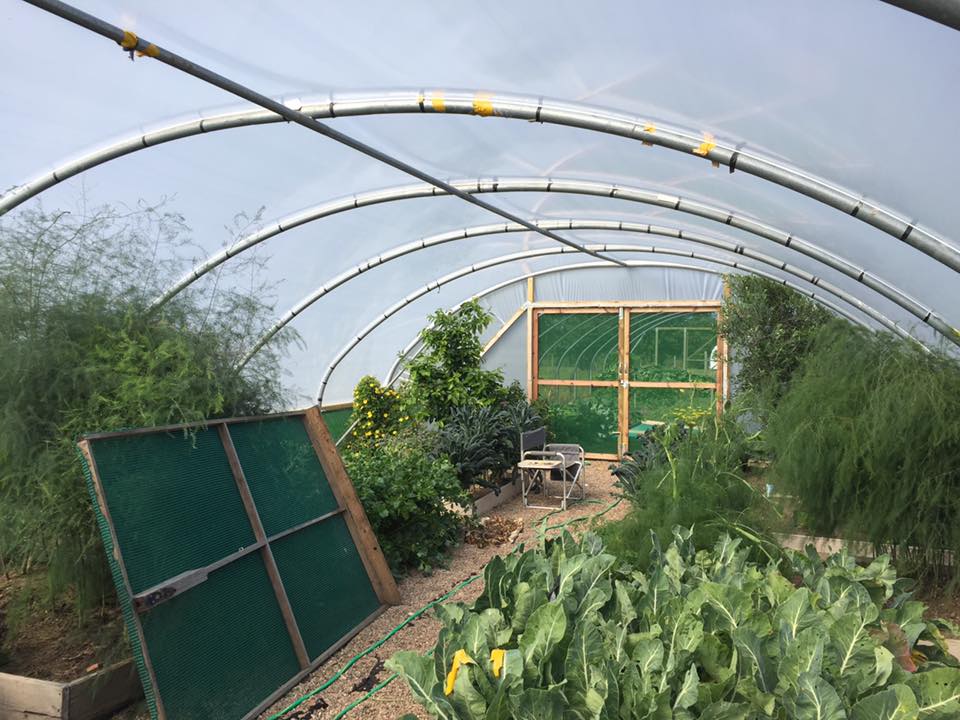 NatPolytunnels's tweet photo. #polytunnel #resheet Build courtesy of I C Polytunnels #LumisolDiffused @BPI_visqueen @NatStructures @park_sampford https://t.co/SxG1XcZyph