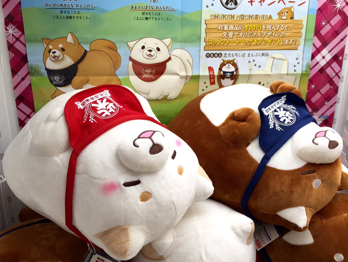 アップル島田店 忠犬もちしばのまんぷくなぬいぐるみが登場 手触りもむにゅっと気持ち良いです こちらでは500円連続投入で可愛いトートバッグのプレゼントキャンペーンを行なっております 詳しくは店内スタッフまで Ufoキャッチャー 忠犬もちしば