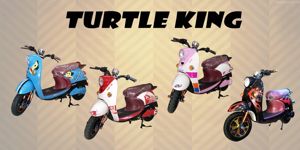 tailg e bike 3 wheel price list