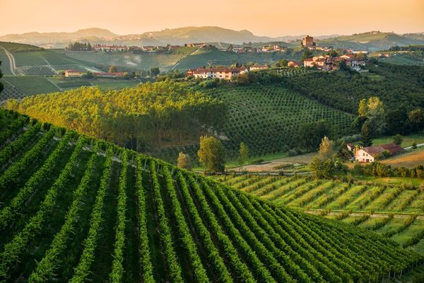 TwitItalianWine's tweet photo. Vero #AMORE son migliaia di piccole cose. In Italia abbiamo migliaia di piccoli produttori di #vino @TwitItalianWine https://t.co/djdUaeqOAu