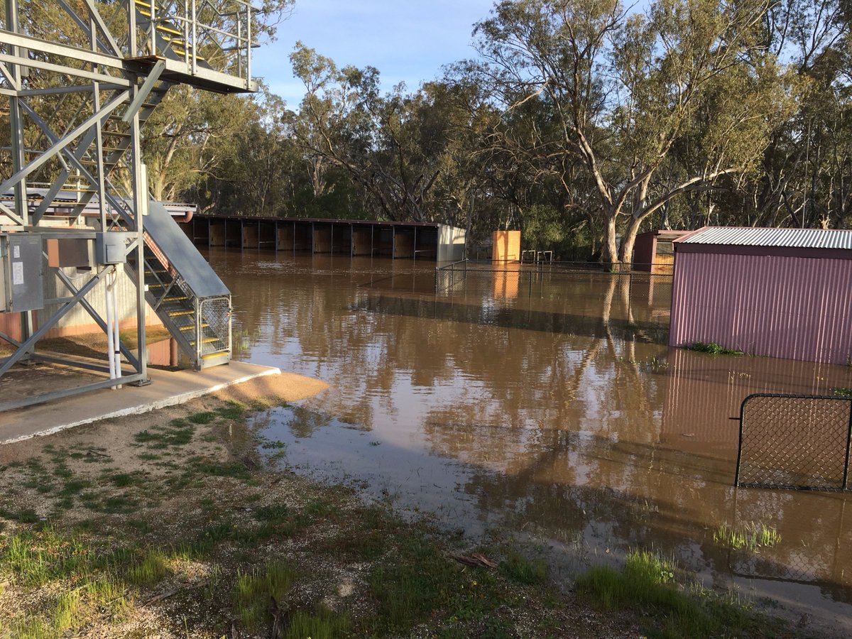 A soggy Charlton, snapped by #Trots starter Doug Gretgrix. Quite a week in rural Victoria. #Rain aplenty. #Floods