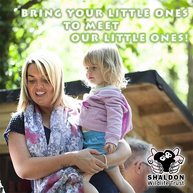 With Mammals,Primates,Birds & other animals #shaldonzoo has so much to engage your littluns bit.ly/SZAnimals