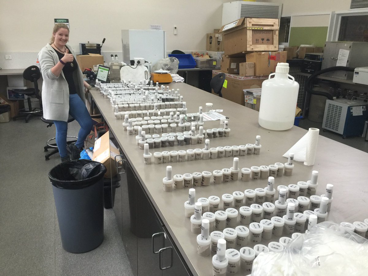 Another #bluecarbon sample processing record smashed by <a href="/MadelineBrenker/">Madeline_brenker</a> in <a href="/BlueCarbonLab/">Blue Carbon Lab</a> thanks to <a href="/AMPFoundation/">AMP Foundation</a>