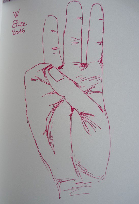 Elize_art's tweet photo. le W en langue des signes #SLF #dessin #drawing #main L'alphabet sera bientôt complet #flowalphabet https://t.co/hNoPrWRbwp