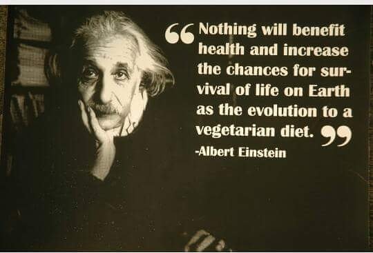 Scrumpy Willow tweet media