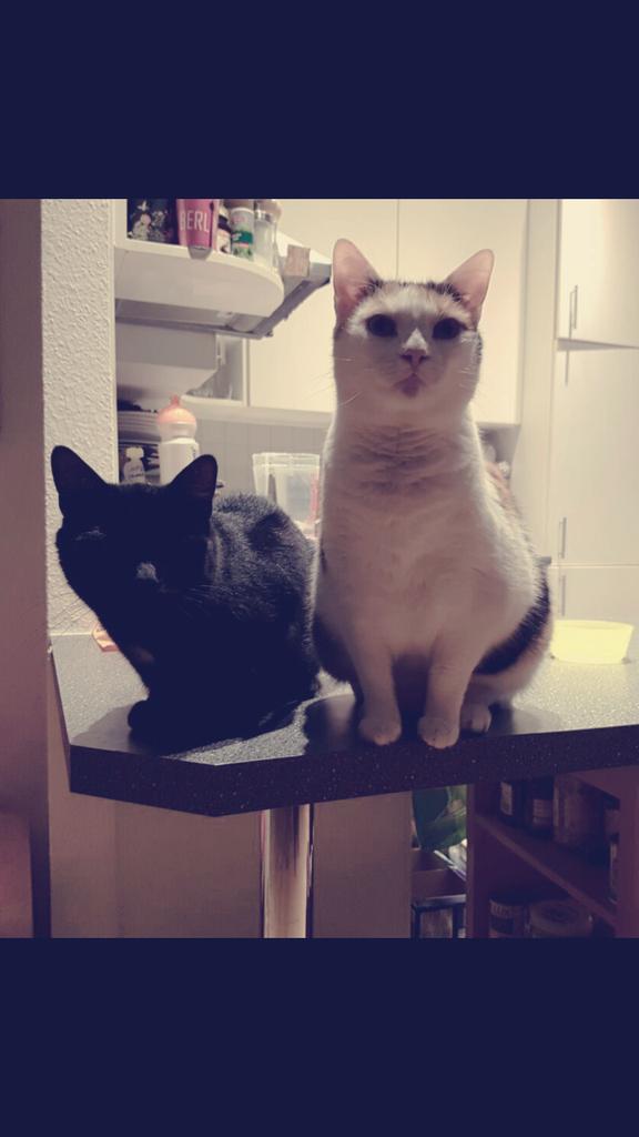 Guten morgen Sonnenschein!