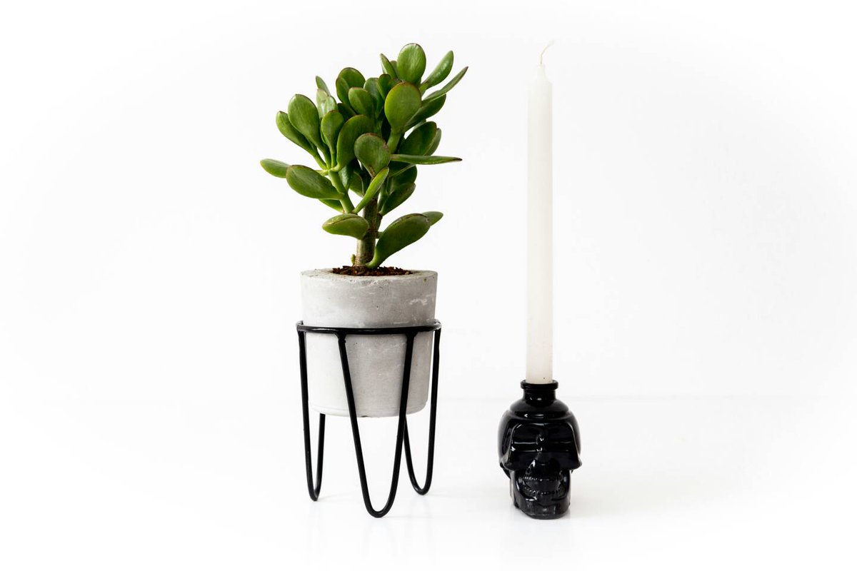 angorastudio's tweet photo. Our wire designs are custom made to fit our large round pots. They come in two shapes both black and white ✌ https://t.co/7Rbw4STrHM