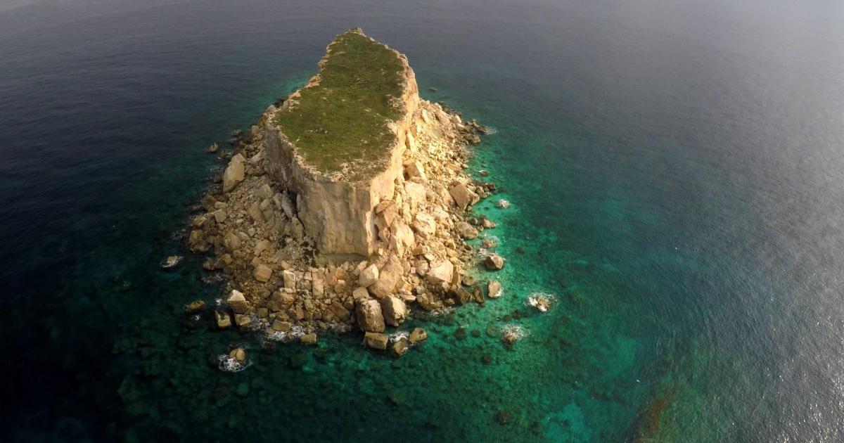 Times of Malta tweet media