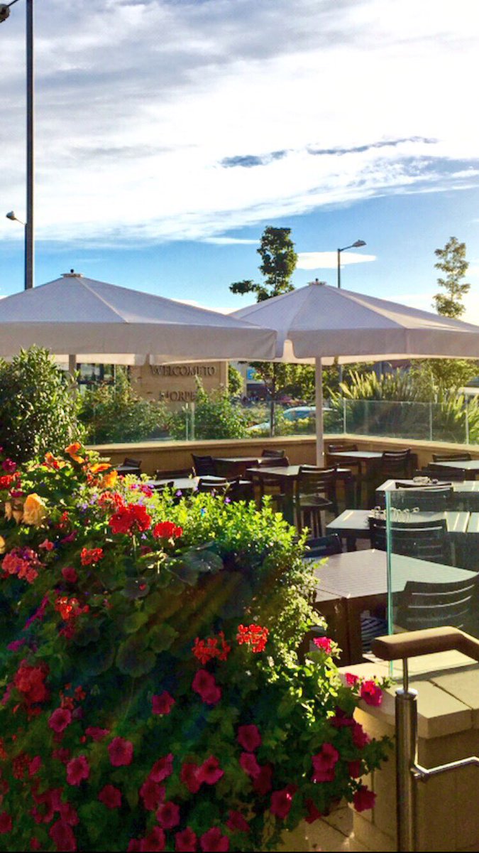 BrieBaker's tweet photo. Need more days like this @MorpethLarder @SandersonArcade https://t.co/73WmYH93qg