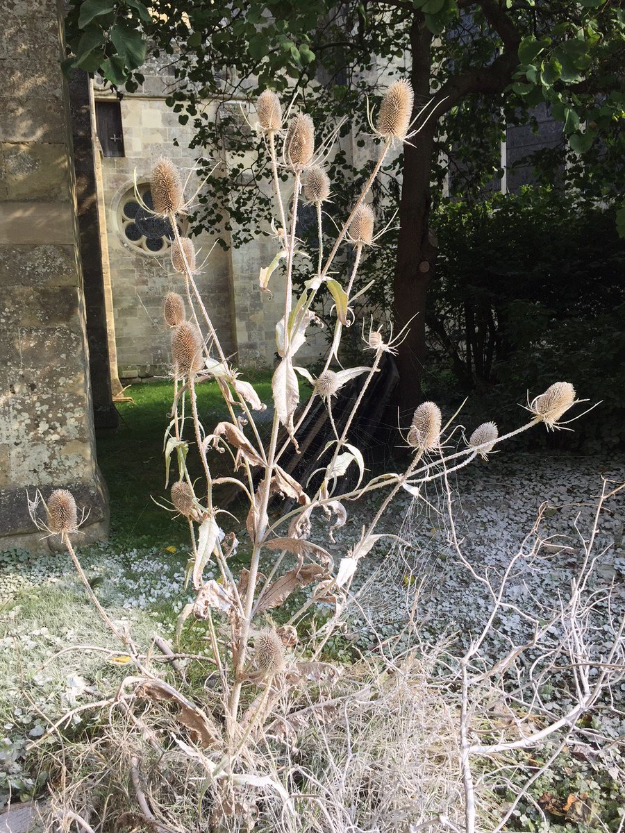 mtfxspecialfx's tweet image. It must be Autumn because the MTFX crew are out snowing again! #Christmas #MTFX #SnowEffects