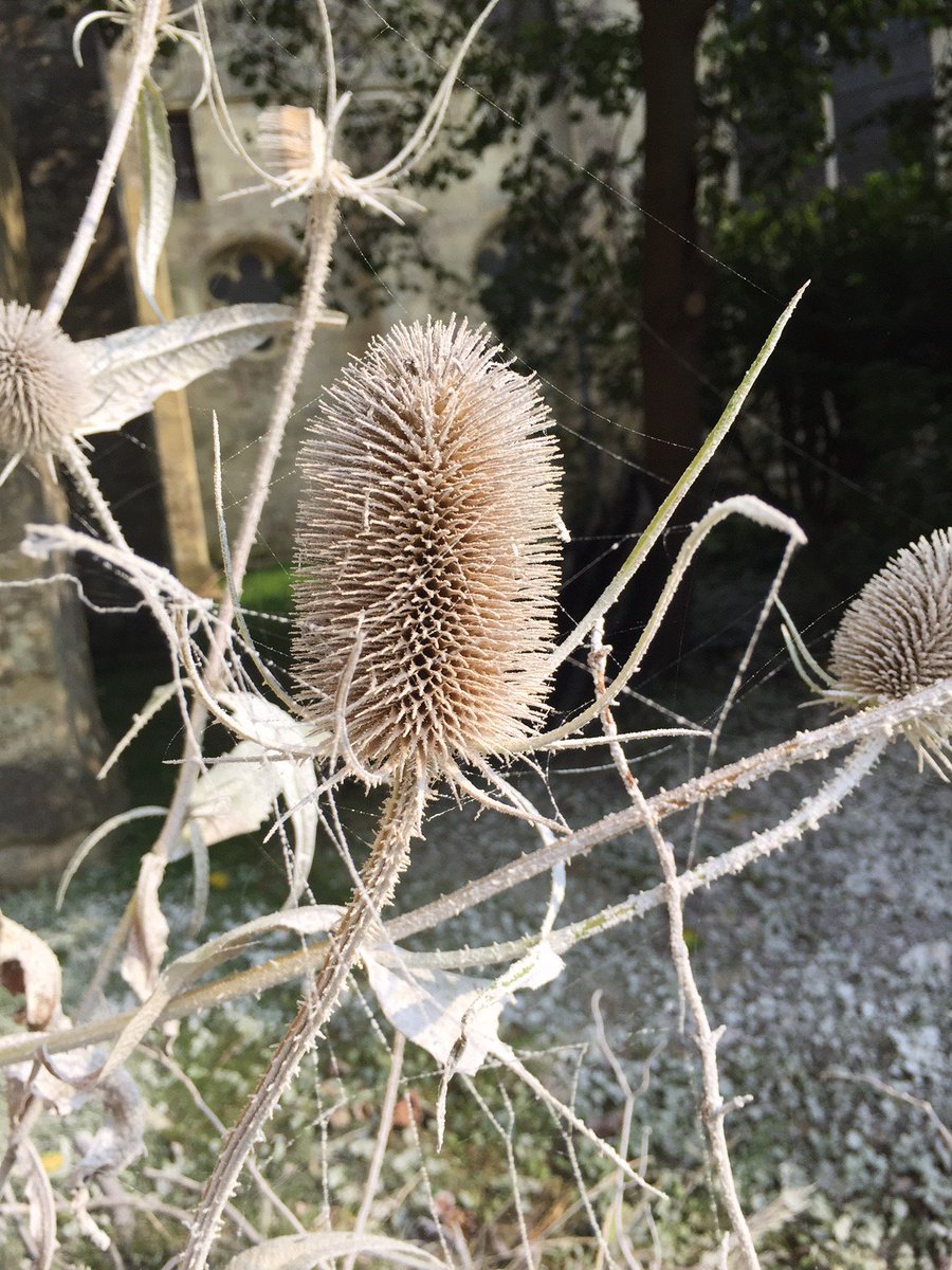 mtfxspecialfx's tweet image. It must be Autumn because the MTFX crew are out snowing again! #Christmas #MTFX #SnowEffects