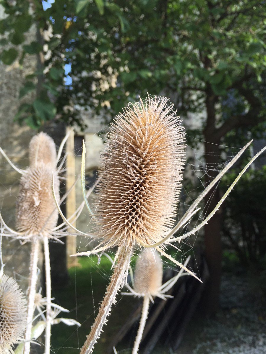 mtfxspecialfx's tweet image. It must be Autumn because the MTFX crew are out snowing again! #Christmas #MTFX #SnowEffects