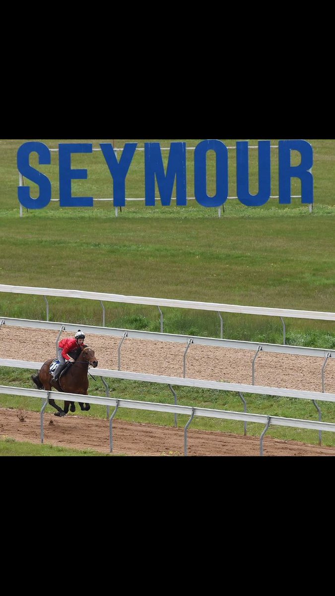 stephthompson99's tweet photo. @mmsnippets breeze ups, Stryker Colt - 9.89 seconds @RosemontStud #secondfastest #littlechamp https://t.co/nYyChOkebz