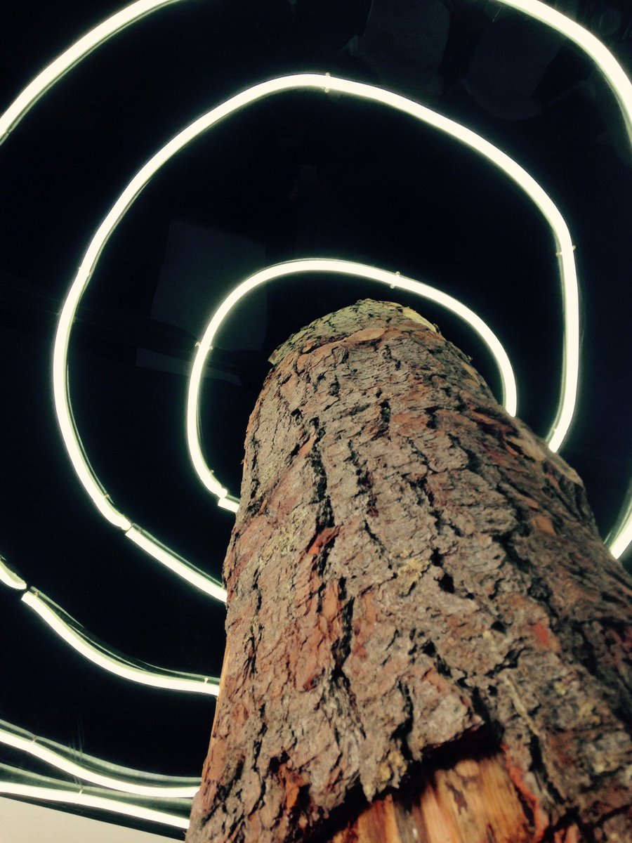 Minimalistic yet striking decor at <a href="/NedAuc/">Nederburg Auction</a> by <a href="/aCREATE_za/">a|CREATE</a> and <a href="/thealeitgroup/">The Aleit Group</a> Divine!