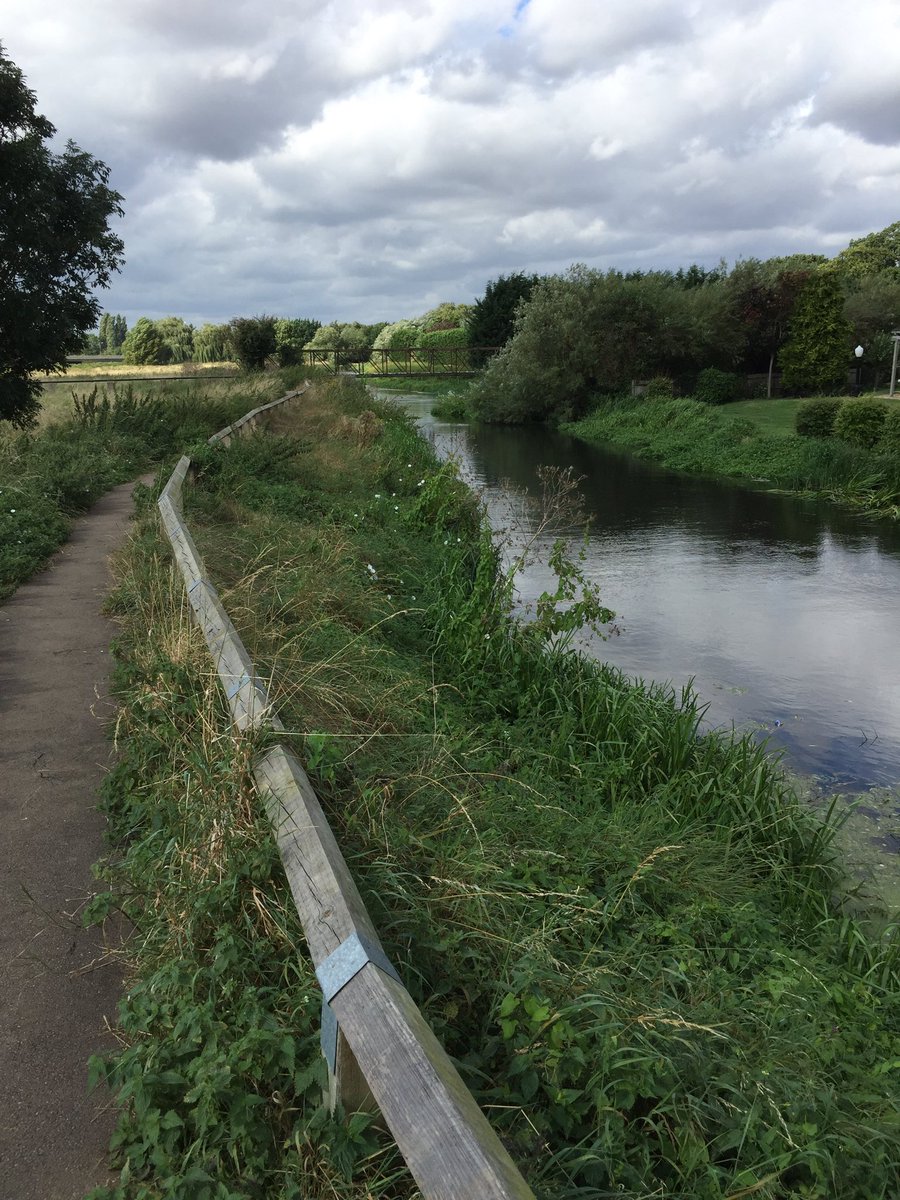 On the look out for carp