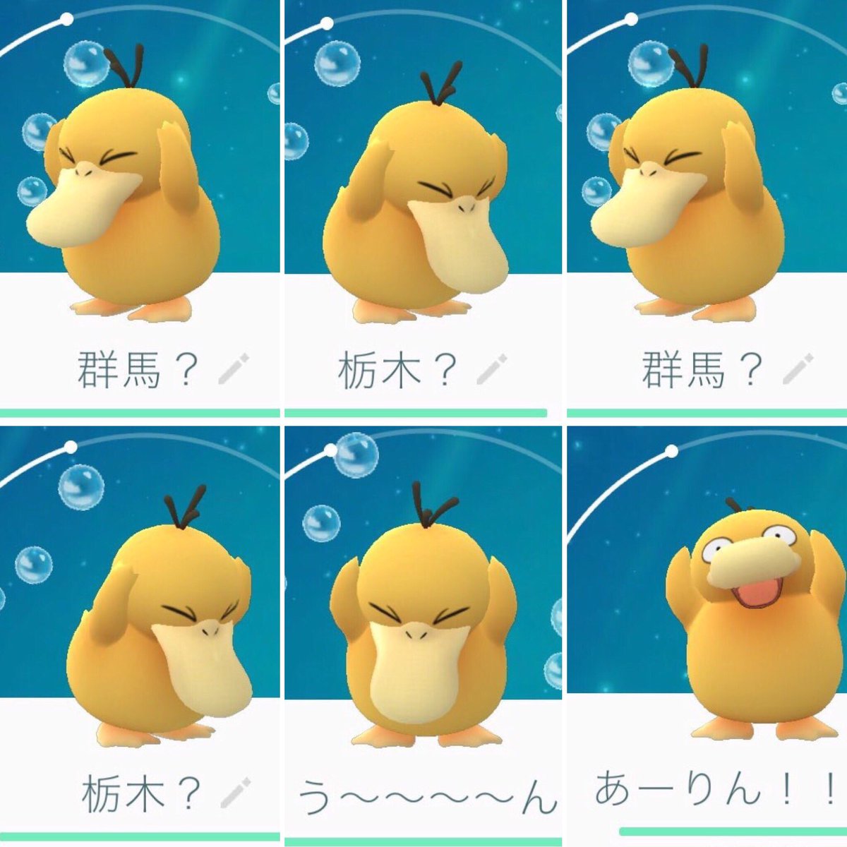 ⭐️きよぴー⭐️🐬 tweet media