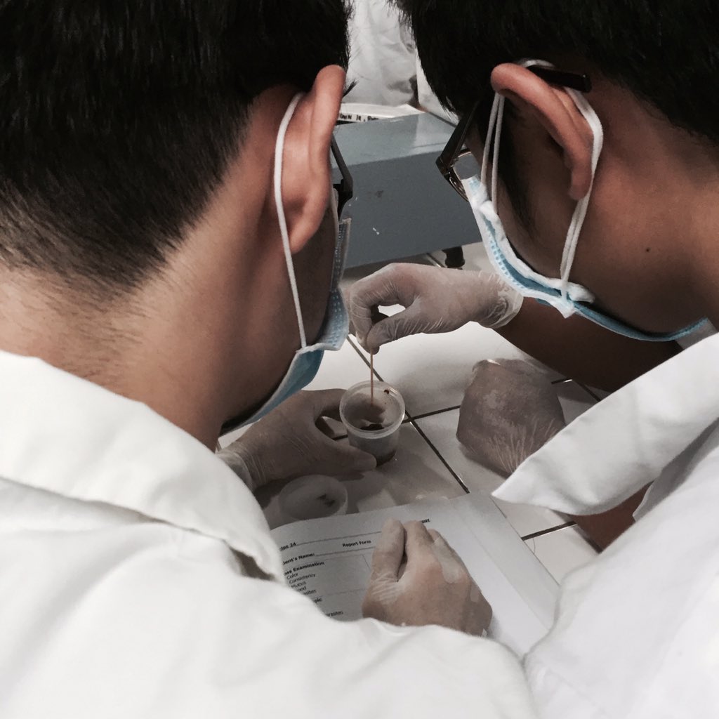 deyntamoeba's tweet photo. Last experiment in Clinical Microsopy 🙌🏻 #FECALYSIS https://t.co/OvzeepyYQL
