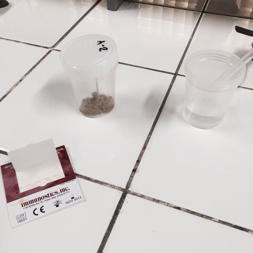 deyntamoeba's tweet photo. Last experiment in Clinical Microsopy 🙌🏻 #FECALYSIS https://t.co/OvzeepyYQL