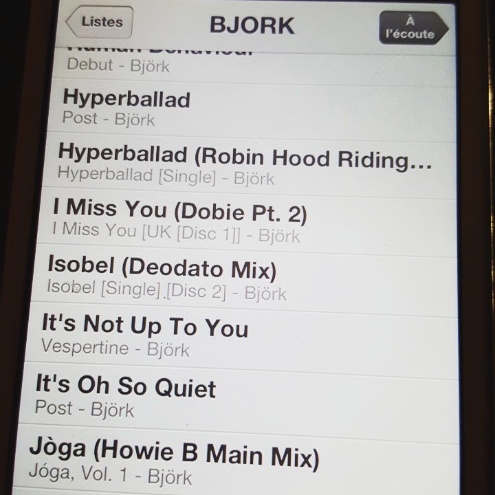 Misterbee tweet media