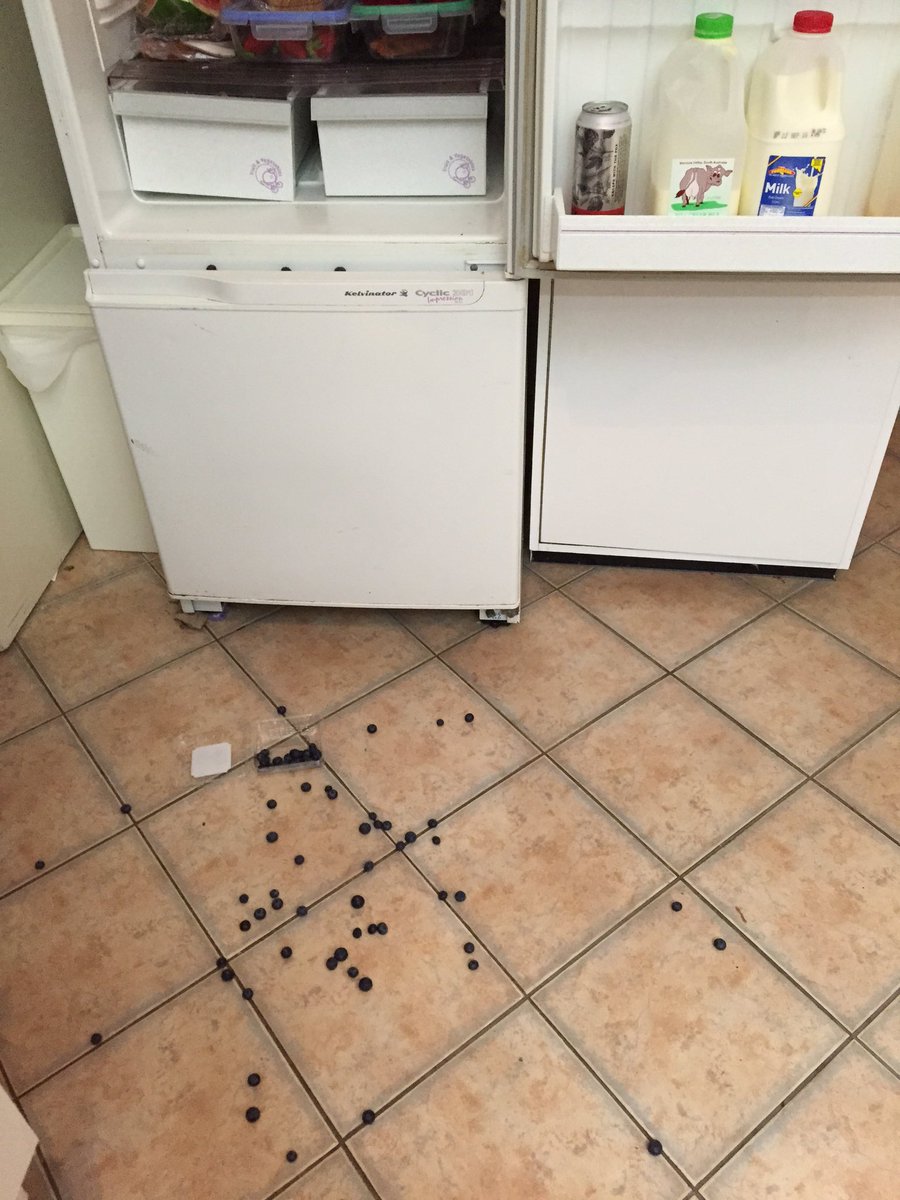 When you want beer and life gives you blueberries!