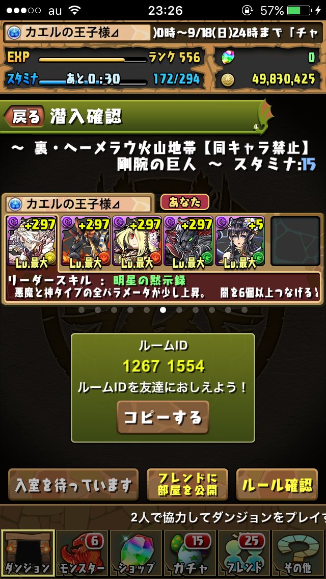 ロズエルスキル上げ