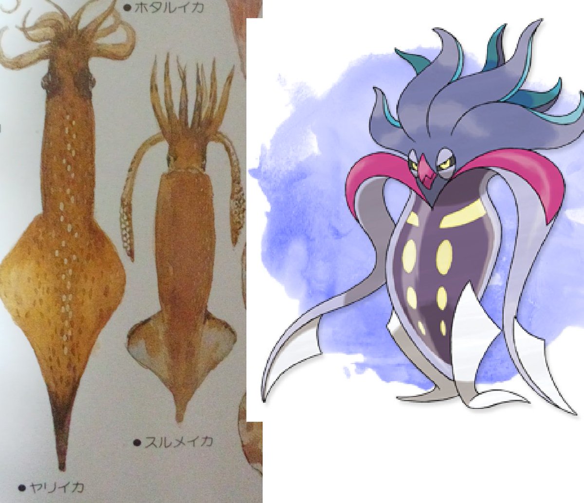 フラギイ 図鑑でイカが上下逆に描かれるのは頭足類の字のとおり足が生えている方が頭 だから なので実はカラマネロは逆さまポケモンではなく実際のイカに忠実なのだ T Co Bo5ipfdsxu Twitter