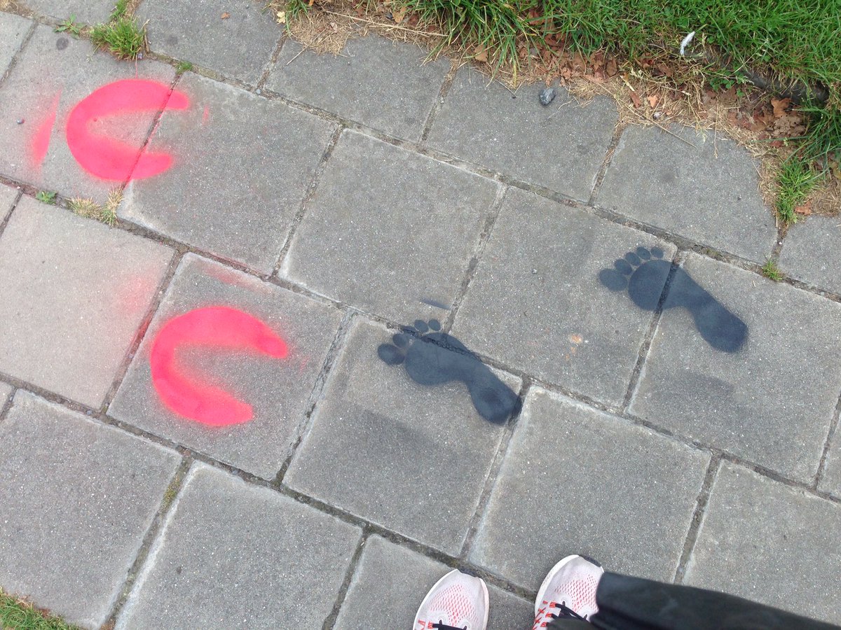 liesbethdeman's tweet photo. Mysterieuze sporen op voetpaden richting centrum Waregem #LaMA #skonezerenaarcentrum #weekvandemobiliteit https://t.co/QiChrAD0Jv