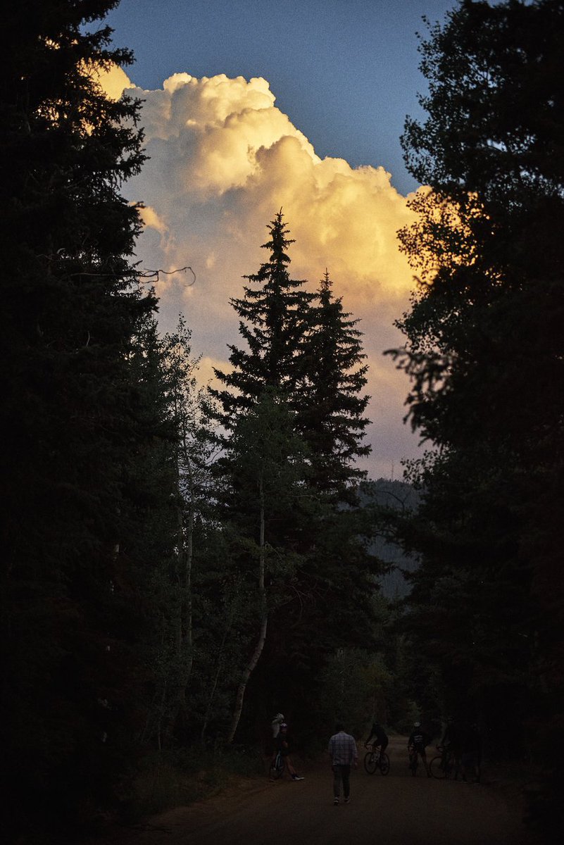 specializedwmn's tweet image. May your roads rise into and above the clouds. #specializedruby