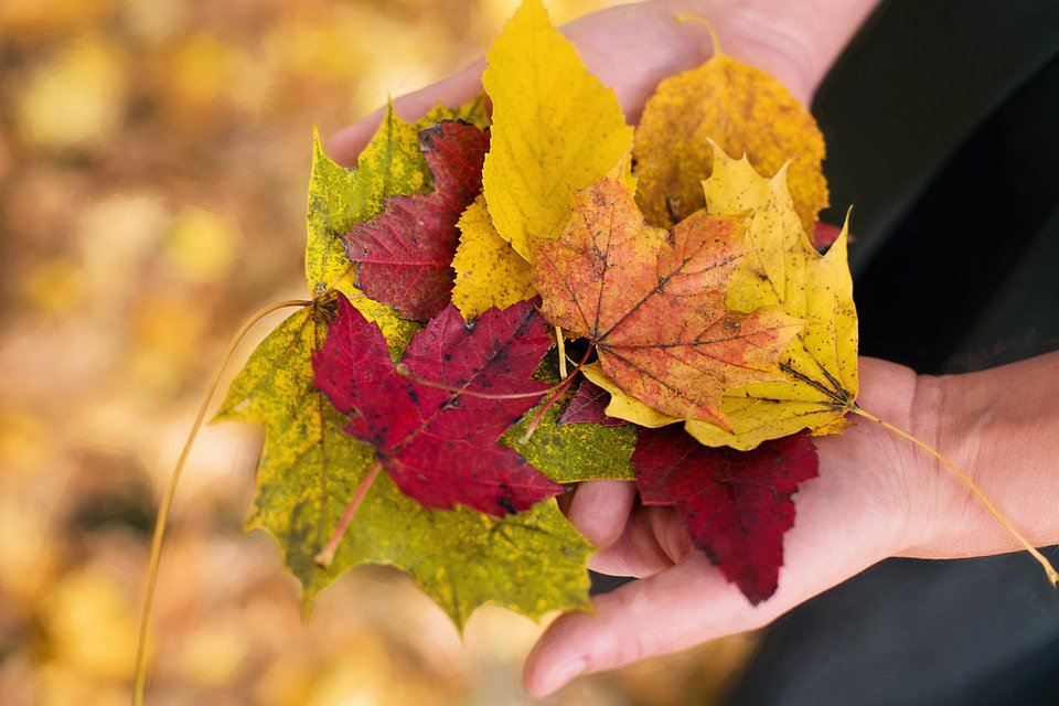 WhitegatesPonte's tweet photo. Transform your home from summer to #autumn with these beautiful trends: https://t.co/3QkONLiPx3 🍂 https://t.co/siGIZVqQHJ