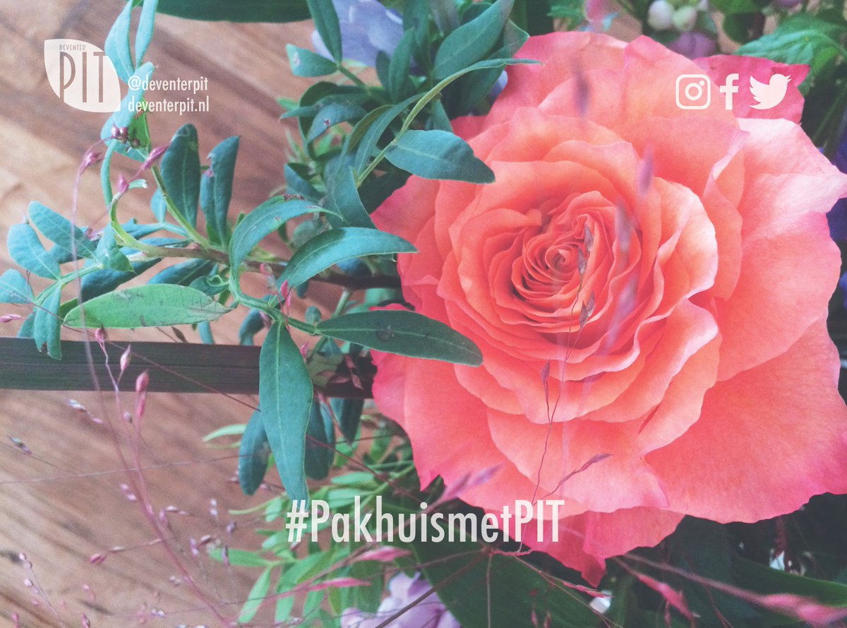 Vanmiddag #Edelwonen x <a href="/DomicaApeldoorn/">Domica Apeldoorn</a> in #PakhuismetPIT! #DomicaApeldoorn #stagiairemetPIT #DeventerPIT #Deventer