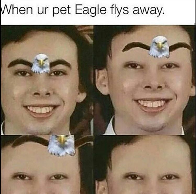 RiskyyyLexus's tweet photo. @LeafyIsHere looool xD https://t.co/qq9uqHky7d