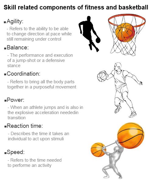 95 Comfortable Why is cardiovascular endurance important in basketball Sets