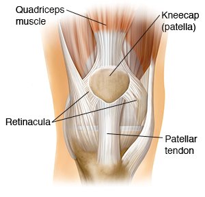 ASICclinic's tweet photo. The kneecap or patella rides along the front of the femur. https://t.co/WrRdZeL6dI
#OrthopedicSurgeonDelhi #Kneedoc https://t.co/47QG9ardBW