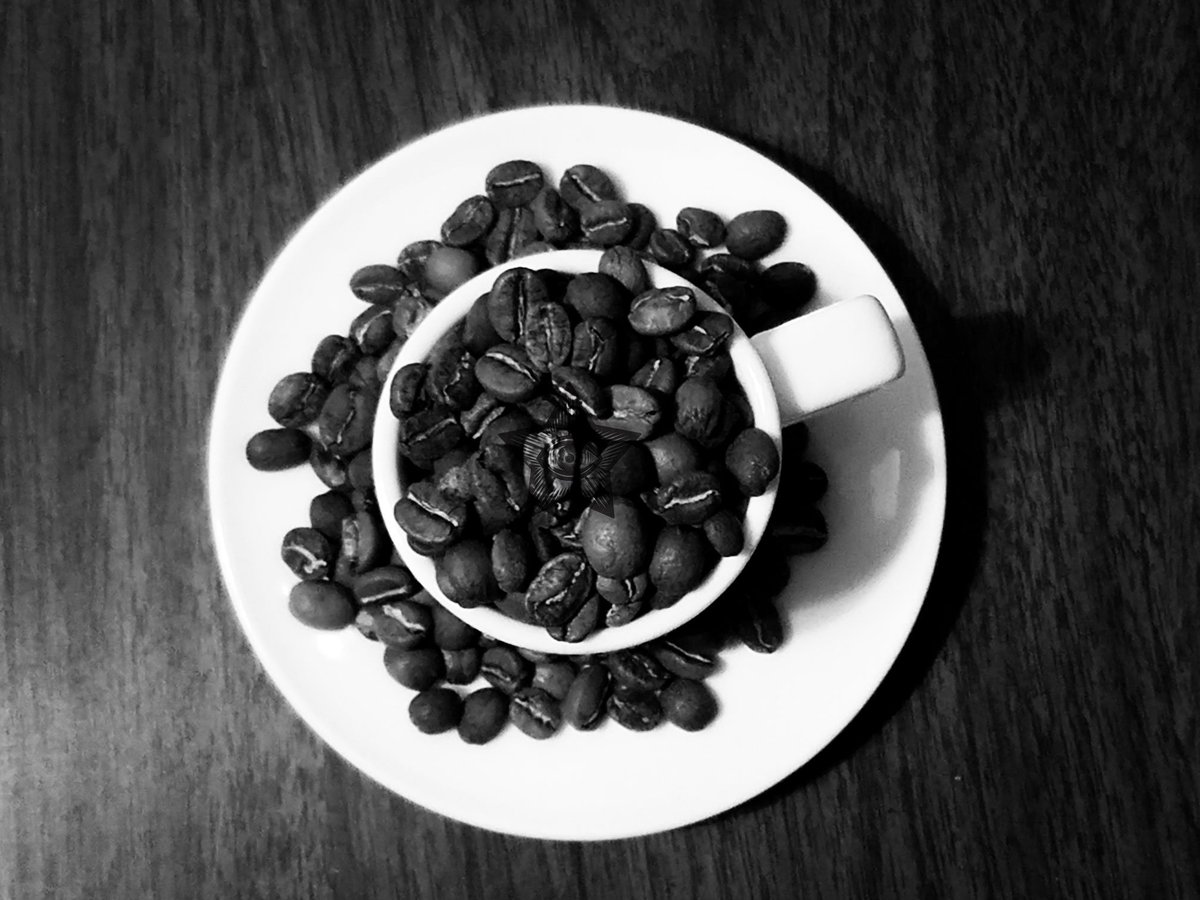 Sometimes you almost just want to skip a step or two! #coffee #coffeebrew #coffeelife #goshencoffee #roastloud