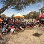 Photo by SC-ORE Orienteering (@scoreACT)