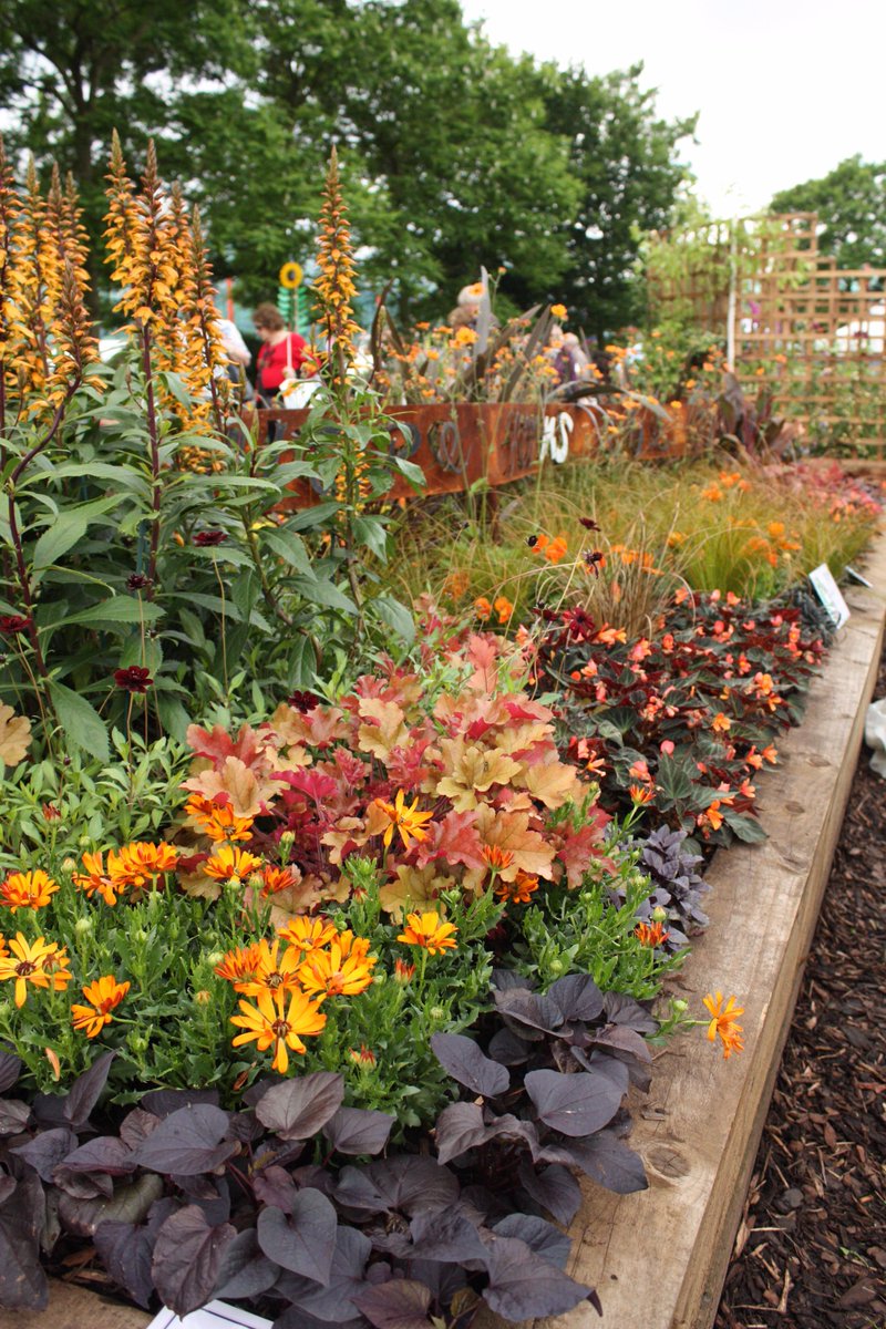 clarechater's tweet image. Can't wait for @mssocietyuk #MSLife2016 this w/e to hear @GeorgePlumptre @NGSOpenGardens talk gardens &amp;amp; wellbeing!