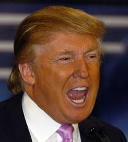 ScottStavrou's tweet photo. #AddWeirdToAnything Orange is the New Weird https://t.co/BDaA34ss5q