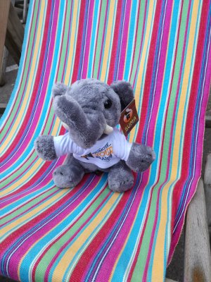 steelcitym's tweet photo. #justchillin #sunisoutagain #PPWeek https://t.co/Agk3NtUouG
