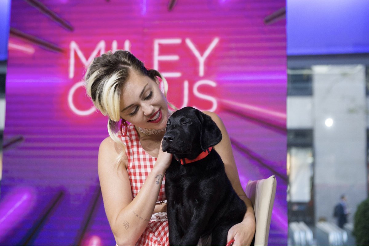 MileyTeamITALY's tweet photo. 🐶💘 https://t.co/X8rltOEYpM