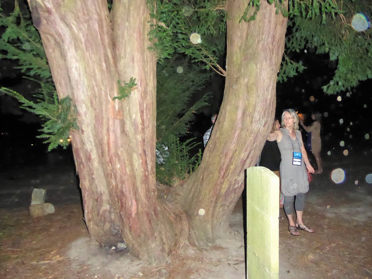 WriterKalina's tweet photo. Pics from this week's #Easton #ghost walk starting at the Tidewater #Inn. #talbotmd #Matpra2016 @CHghostwalks https://t.co/Tb7UjvSrqN